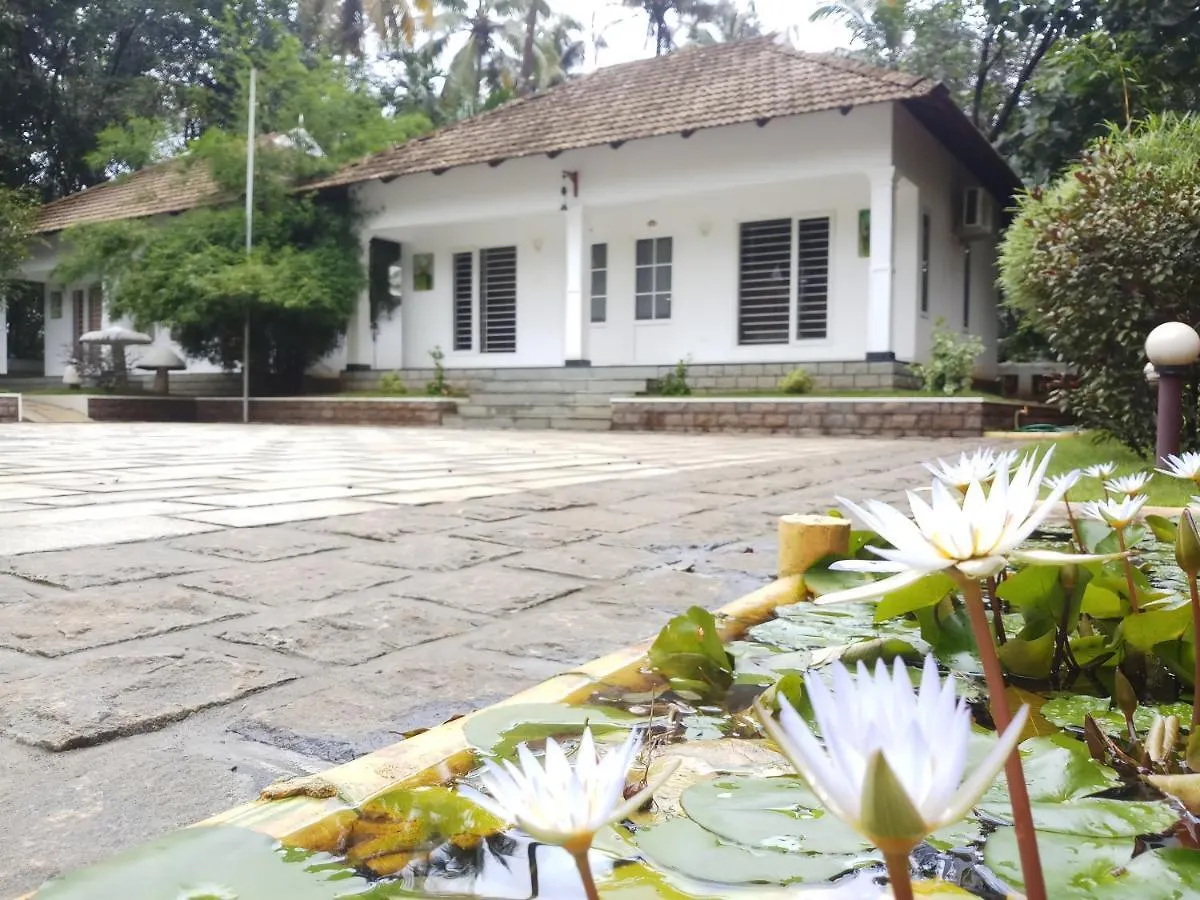 Mushroom Hut Resort Athirappilly