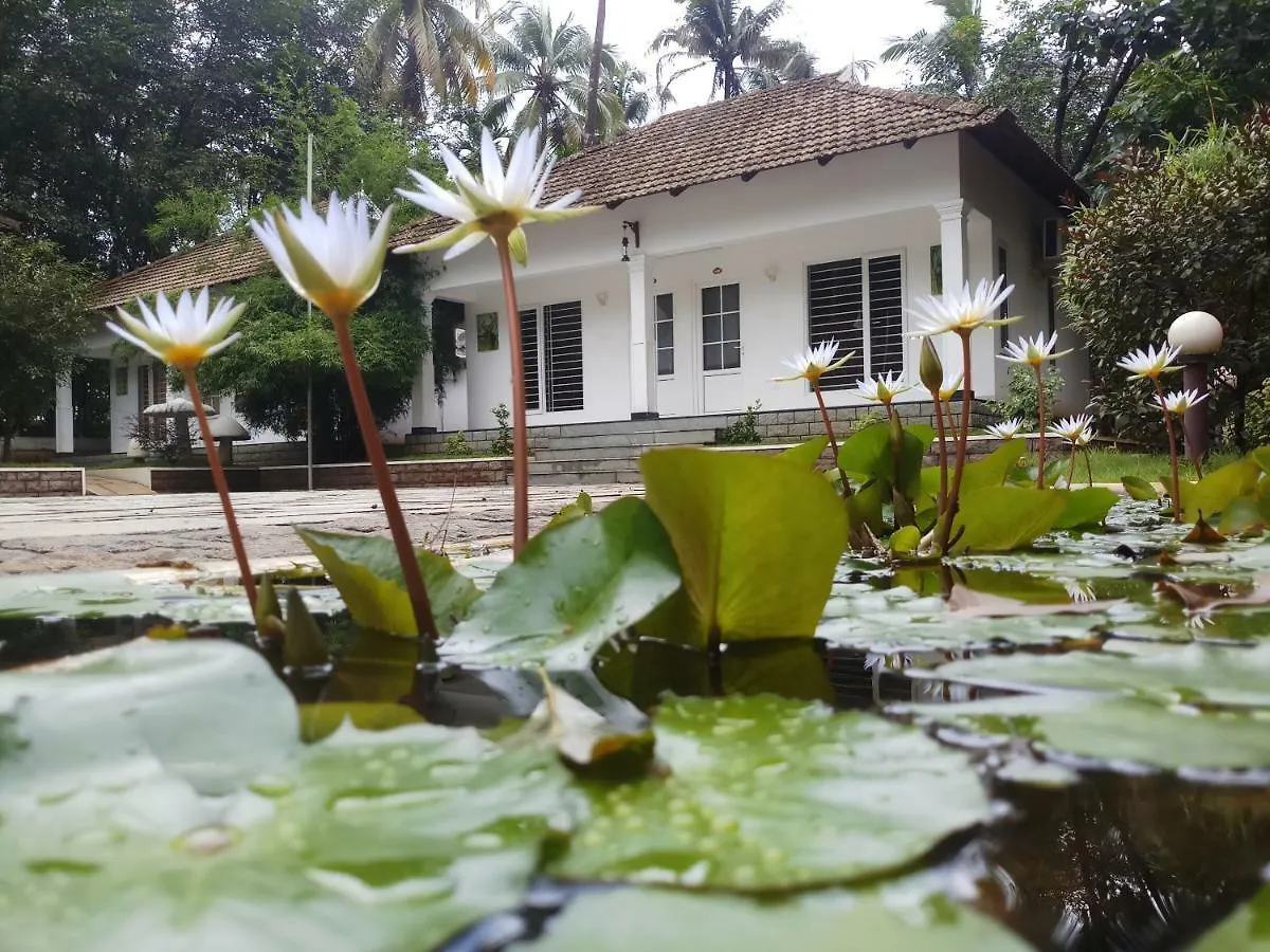 Mushroom Hut Resort Athirappilly Hindistan